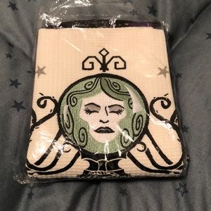 Haunted Mansion Dishtowel Set
